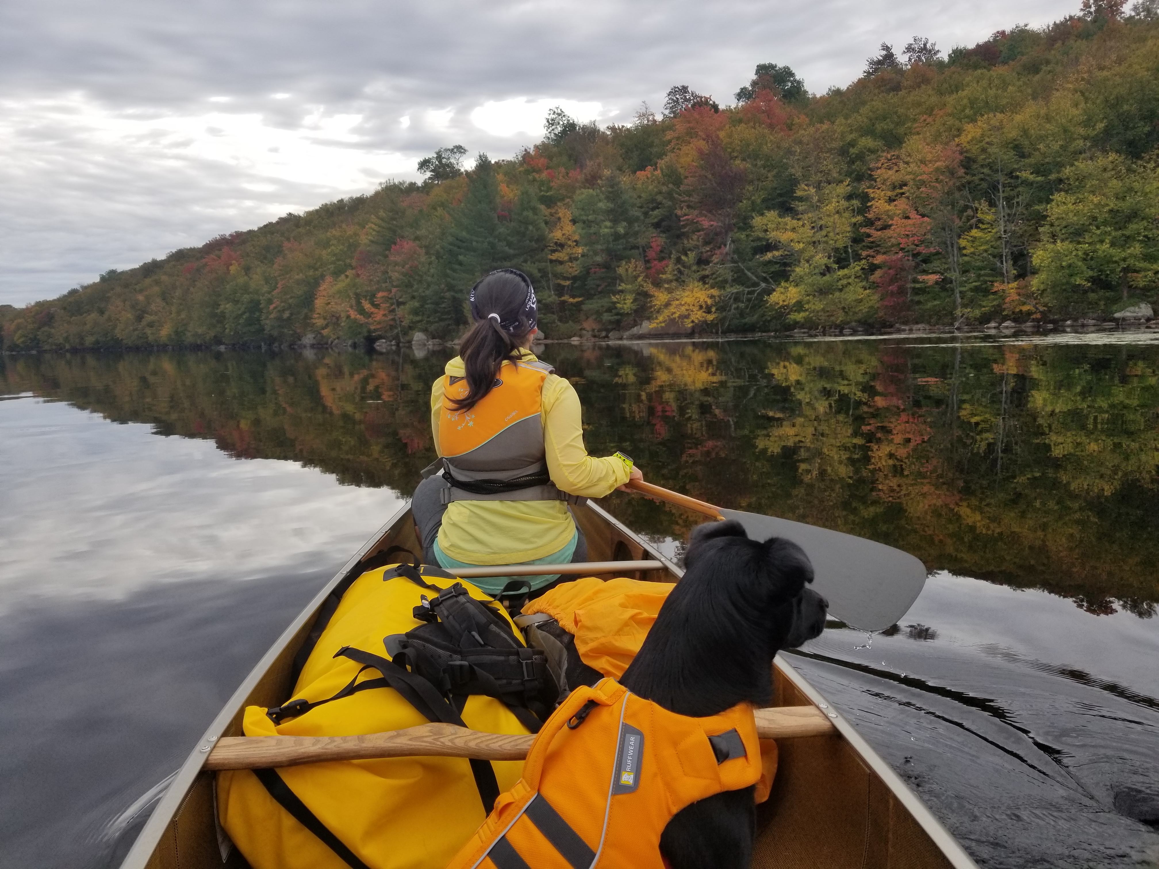 Remando Dead Creek Flow - Cranberry Lake