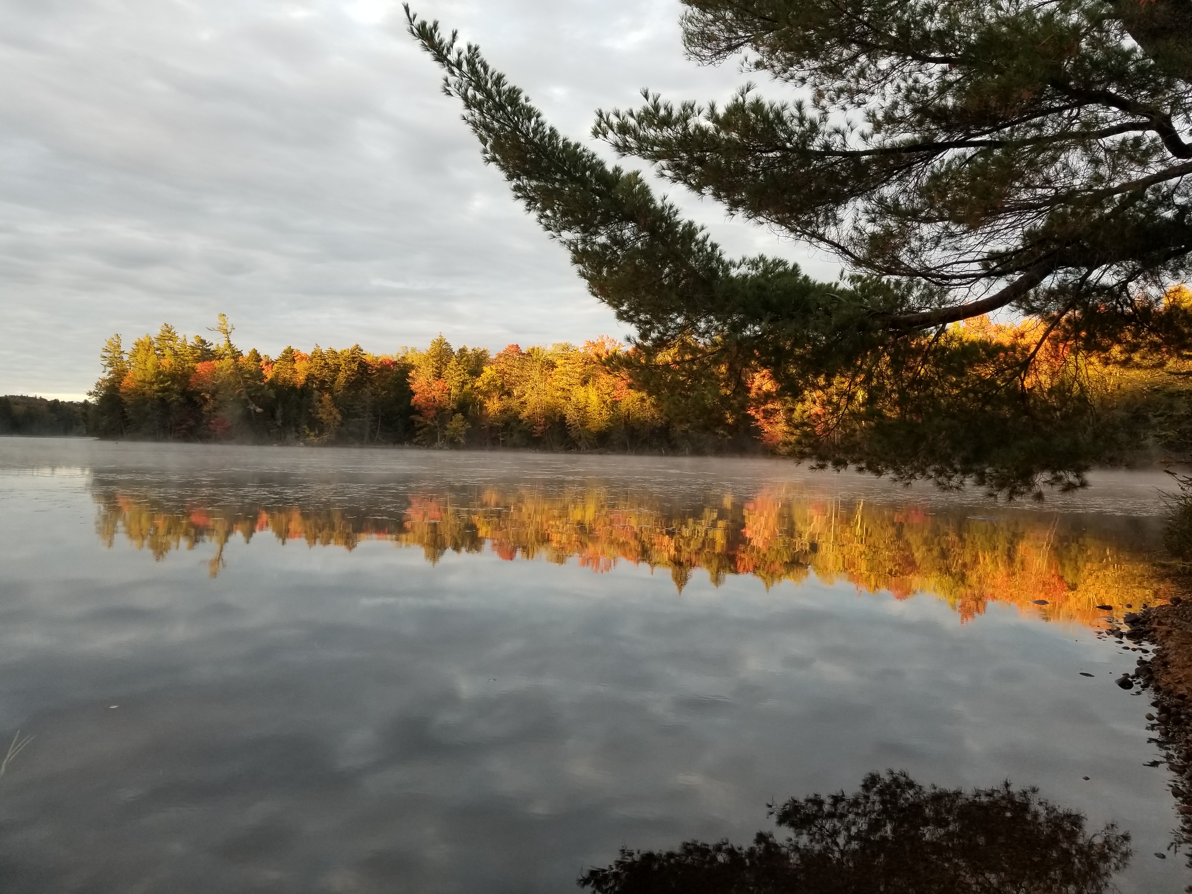 Colores de otoño Cranberry Lake