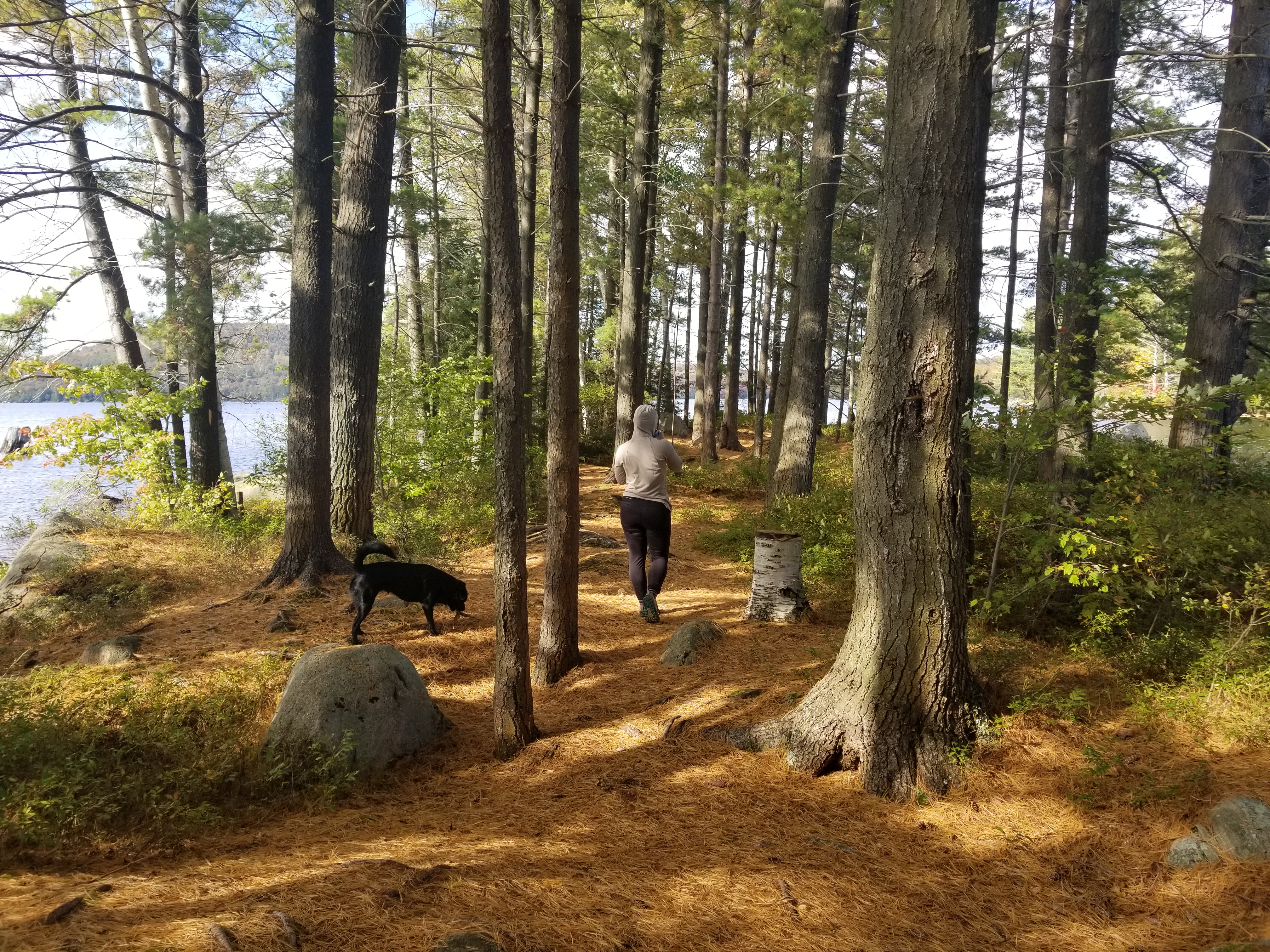 Sendero en Sears Island Cranberry Lake