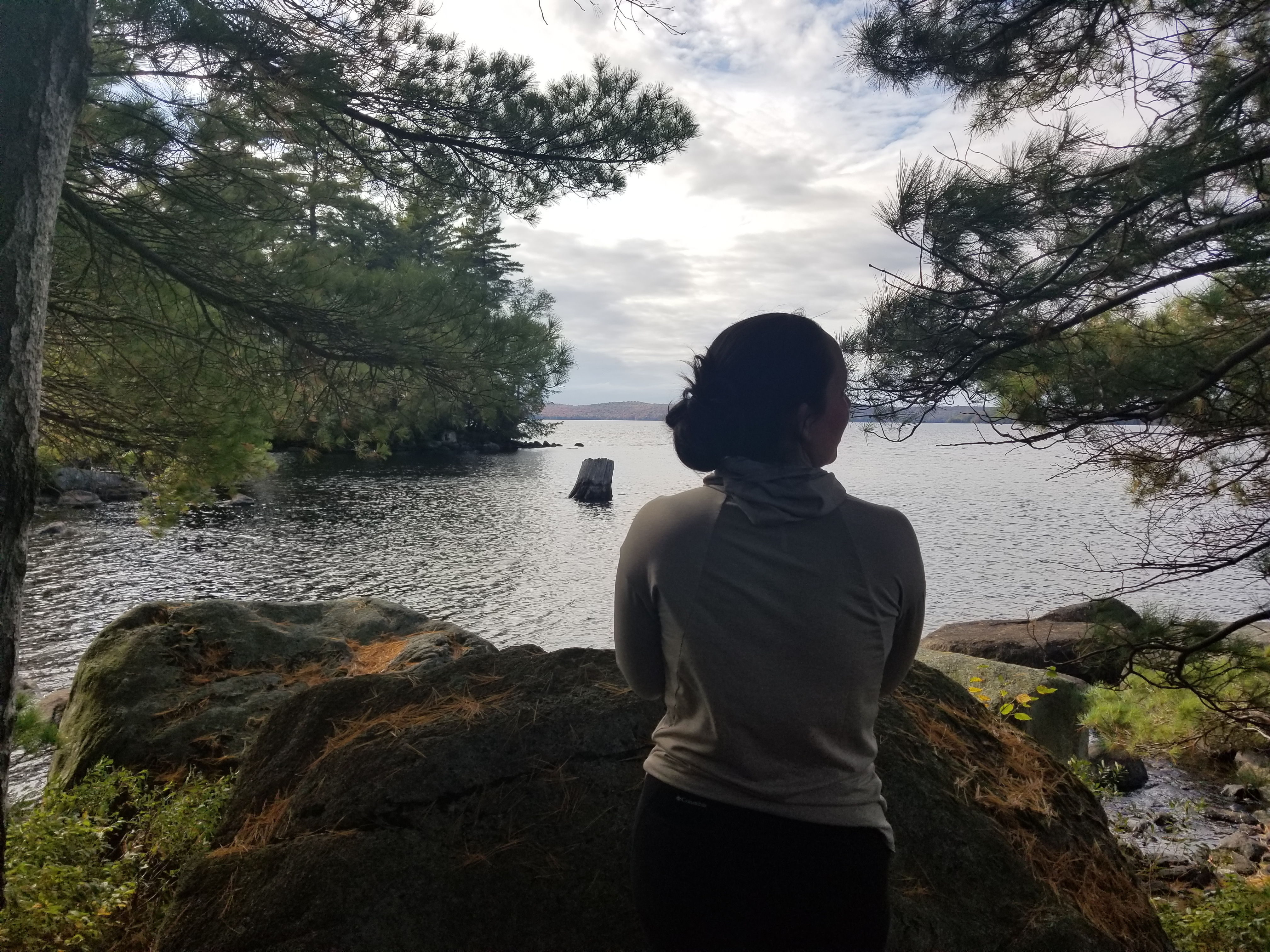 Vista desde Sears Island - Cranberry Lake