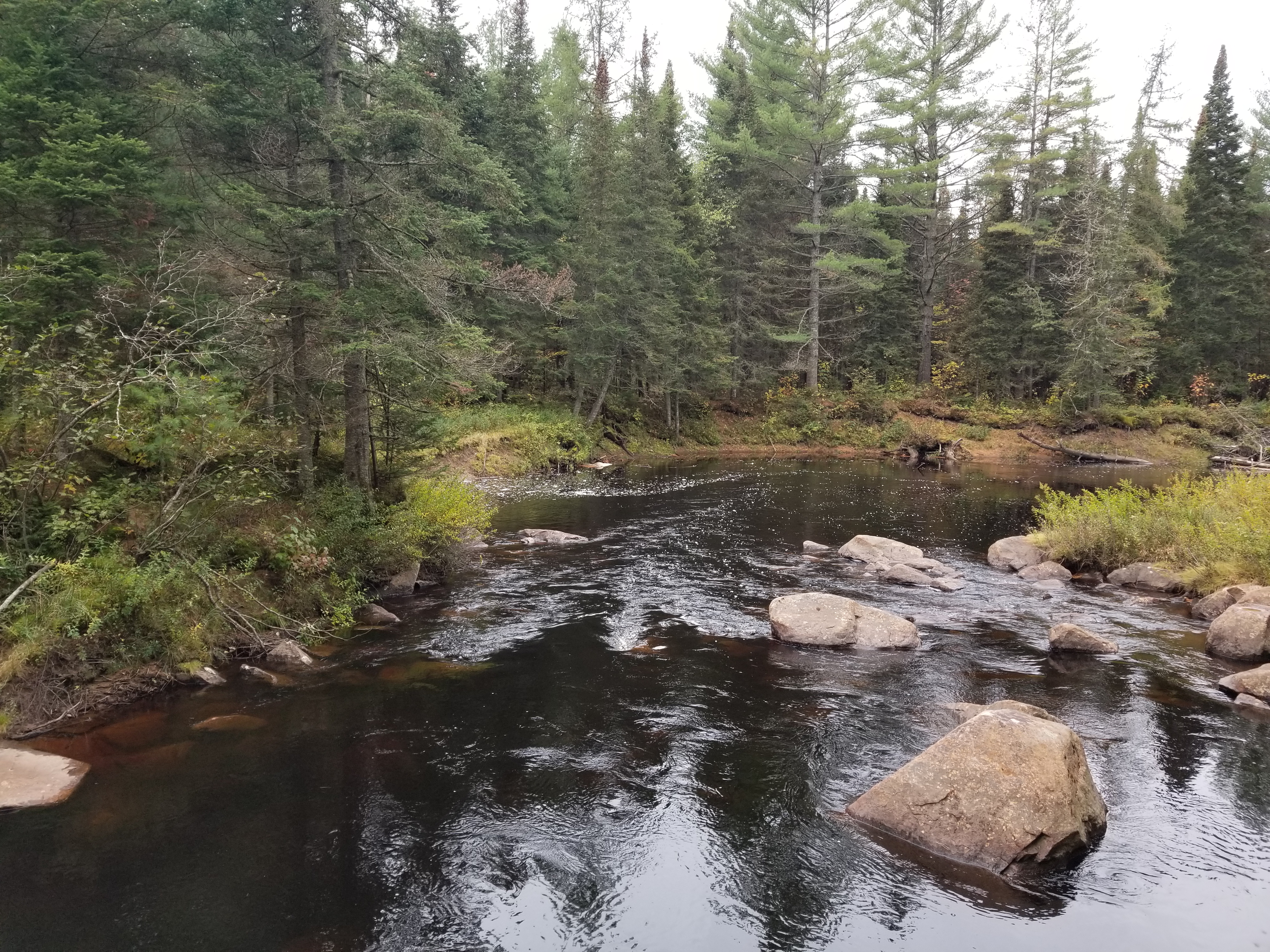 Rápidos chicos Oswegatchie River - Five Ponds Wilderness