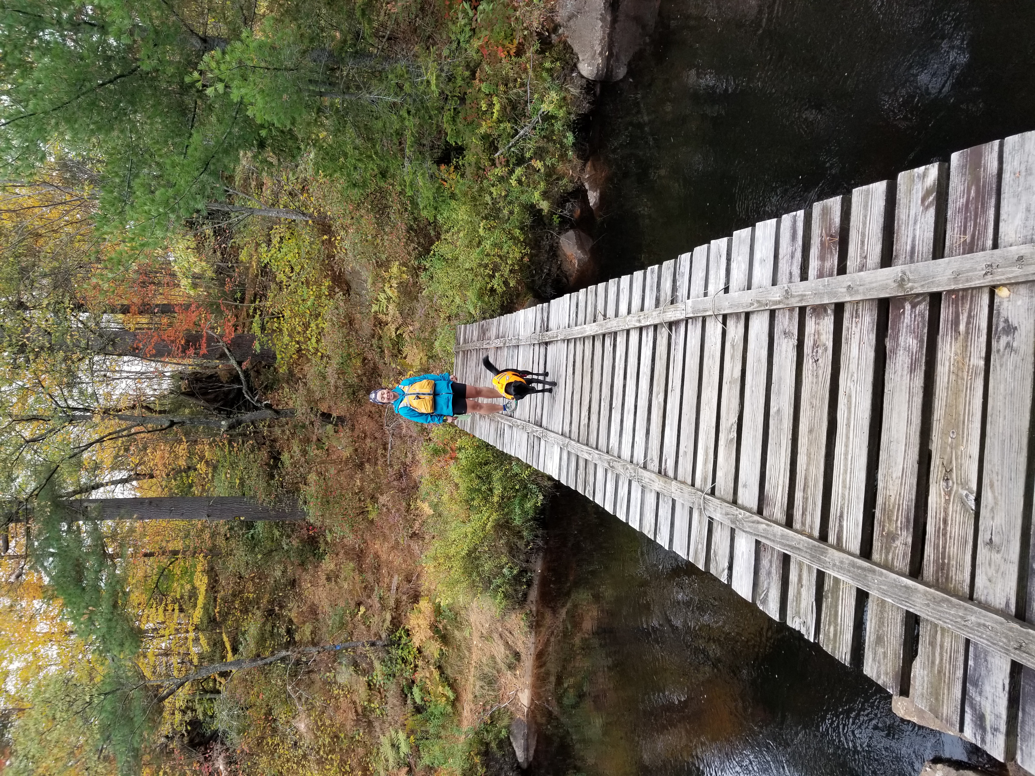 Puente cruzando Oswegatchie River - Sendero Five Ponds Trail