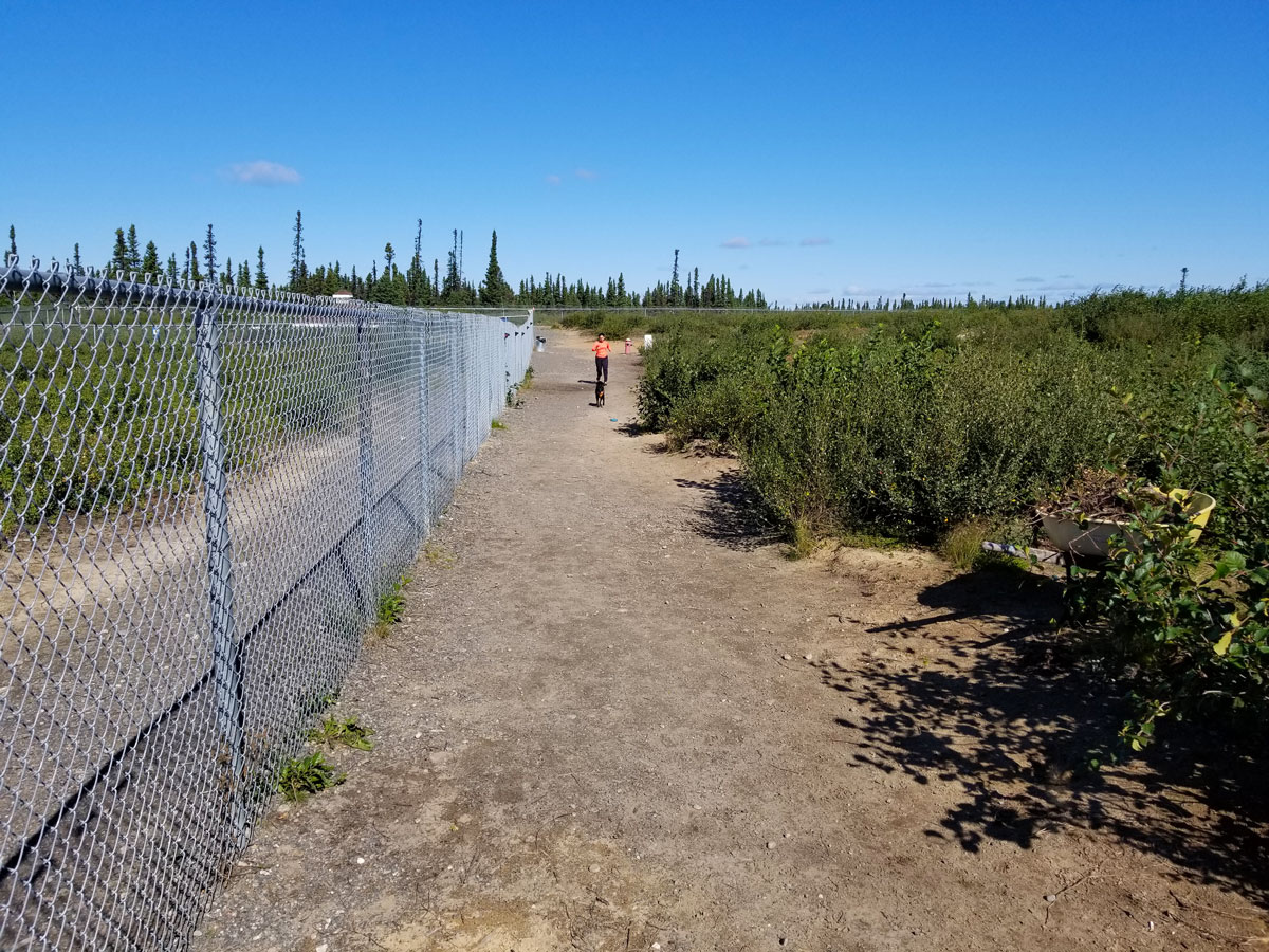 Parque para perros, Happy Valley - Goose Bay