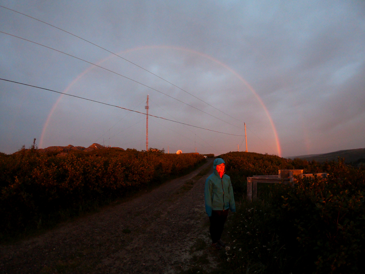 Arcoiris St Lewis, Labrador