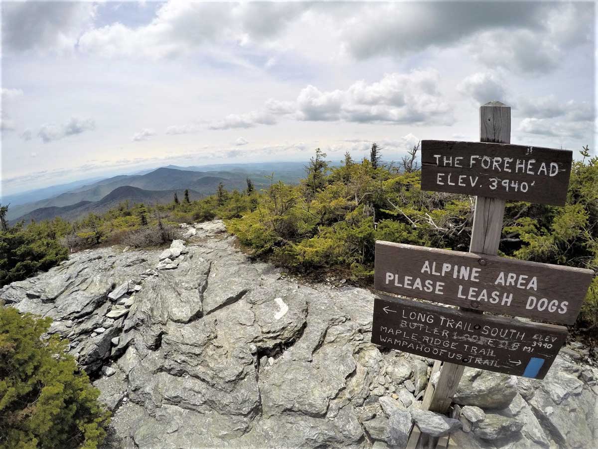 Señal por el Forehead y Long Trail, Monte Mansfield